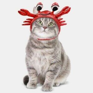 NEW HYDE and EEK Cat Red Crab Headpiece Costume